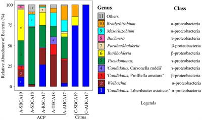 Bacteriomic Analyses of Asian Citrus Psyllid and Citrus Samples Infected With “Candidatus Liberibacter asiaticus” in Southern California and Huanglongbing Management Implications